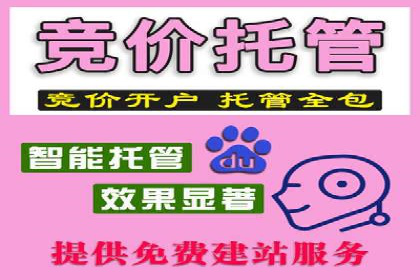 精准投放，高效转化——SEM竞价优化案例集